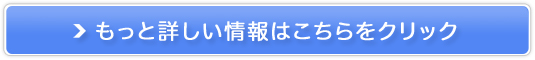 Ɖur^~ LPS(||TbJCh)ynCp[LPS500z̔TCg